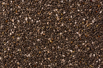 Chia Seeds (Salvia hispanica)