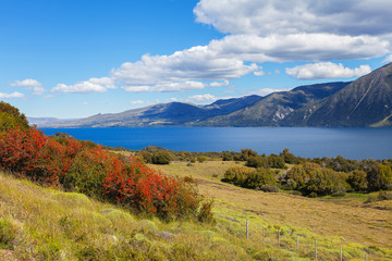 Lanin National Park, Patagonia, Argentina