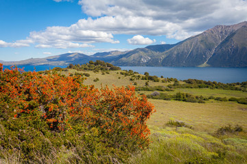 Lanin National Park, Patagonia, Argentina