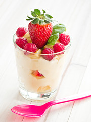 Vanillecremespeise mit frischen Himbeeren