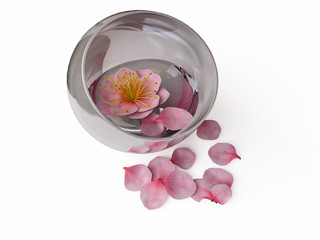 Obraz na płótnie Canvas Cherry Flowers in Vase in 3D