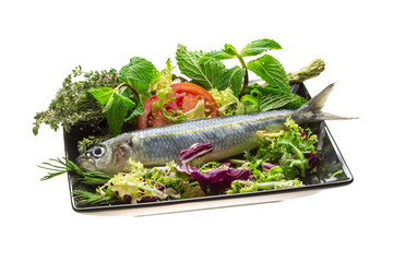 Fresh Herring