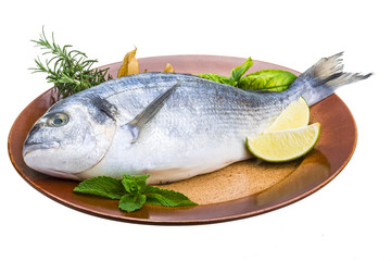 Fresh raw dorada