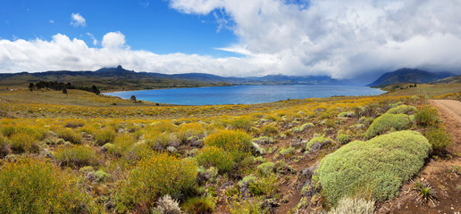 Fototapeta na wymiar Lanin National Park, Patagonia, Argentina