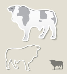 Bull banner