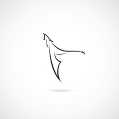 Flying dragon
