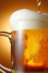 生ビール