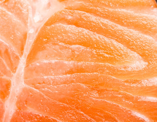 Fresh red salmon texture. Closeup