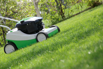 lawn mower on the lawn