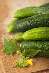 Fresh cucumbers on wooden boards
