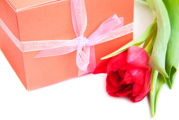 bouquet of  tulips, gift box on a white background