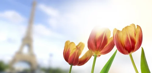 Poster de jardin Tulipe tulipany