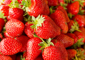 Fresh organic strawberry