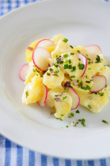 Veganer Salat mit Kartoffeln, Radiesln und Sojasahnedressing