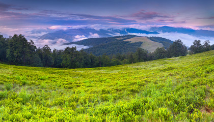 Colorful summer landscape in the Carpathian mountains. Sunrise