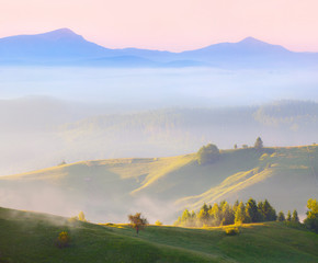 Foggy landscape in the Сarpathian mountains at summer. Ukraine,