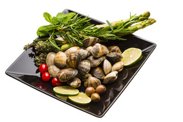 Spanish mollusc - Almeja