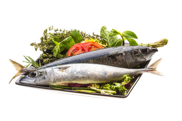 Atlantic raw sardine