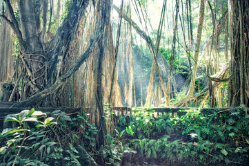 jungle © Victor zastol'skiy
