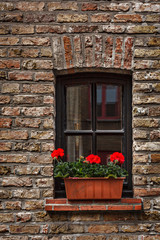 Window with flowers in Europe. Bruges (Brugge), Belgium