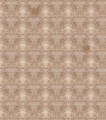 Snake skin texture (animal print)