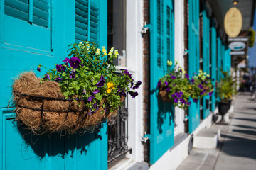 New Orleans Flowers