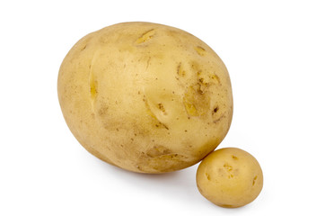 Large Potato With a Smaller One