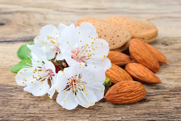 Almonds with leaves and flowers