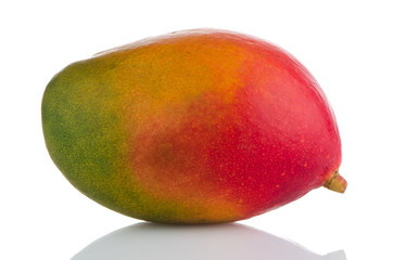 Mango fruit