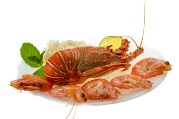 Spiny lobster, shrimps and rice