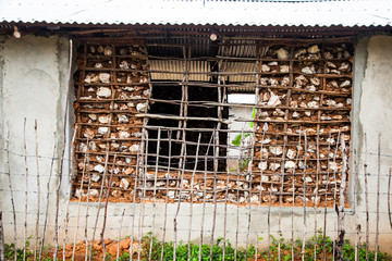 Building house in Africa