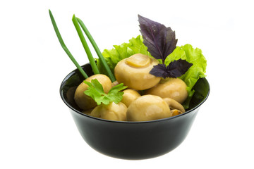 Ripe fresh Champignon