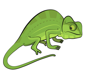 Chameleon cartoon character isolated on white background