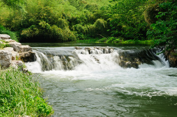 The stream flowing water