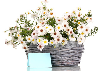beautiful bouquet of white flowers in basket isolated on white