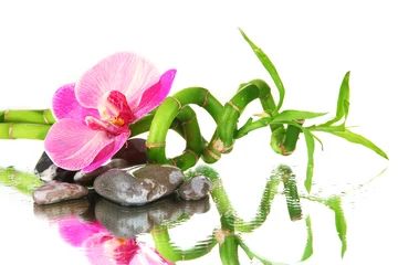 Poster Orchidée Still life with green bamboo plant, orchid and stones,