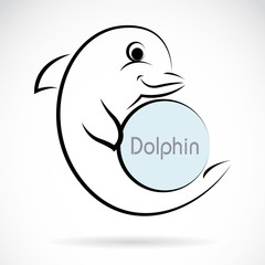 Vector image of an dolphin on white background
