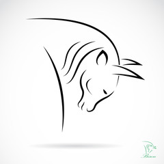 Vector image of an bison on white background
