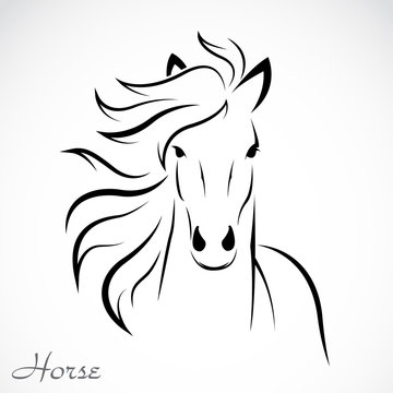 Fototapeta Vector of a horse on white background. Farm Animal. Cows logos or icons. Easy editable layered vector illustration.