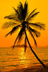 Obraz na płótnie Canvas Tropical sunset