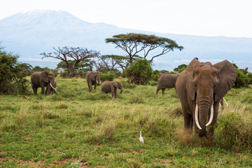 Kenya 2013