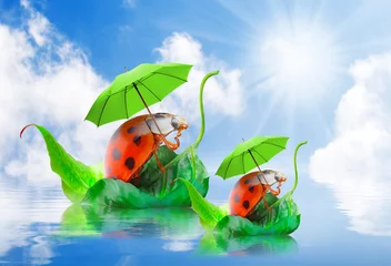 Washable wall murals Ladybugs Two funny travelers going to holidays. Children's postcard.