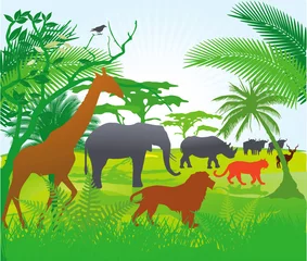 Papier Peint photo Zoo Jungle avec des animaux