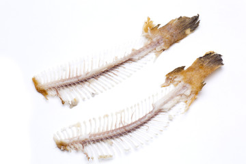 two fishbone sole