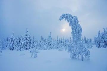Papier Peint photo autocollant Hiver Magical Lapland winter scene