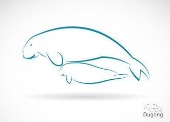 Vector image of an dugong on white background