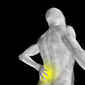 Conceptual 3D human pain anatomy