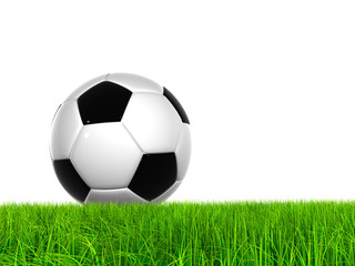 Fototapeta na wymiar Conceptual soccer ball in grass