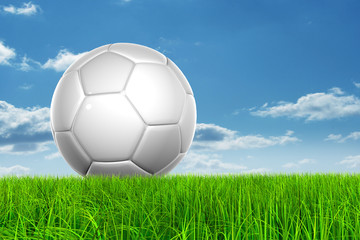 Conceptual soccer ball in grass