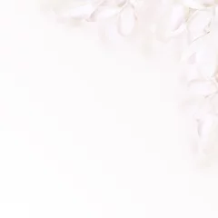 Abwaschbare Fototapete Krokusse White flowers crocus
